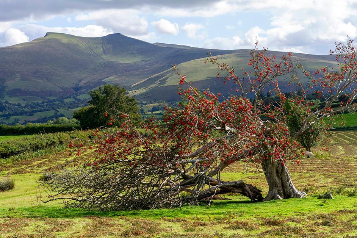 מרת'יר טידפיל Picturesque 2 Bedroom Miners Cottage Near Bike Park Wales & Brecon Beacons מראה חיצוני תמונה